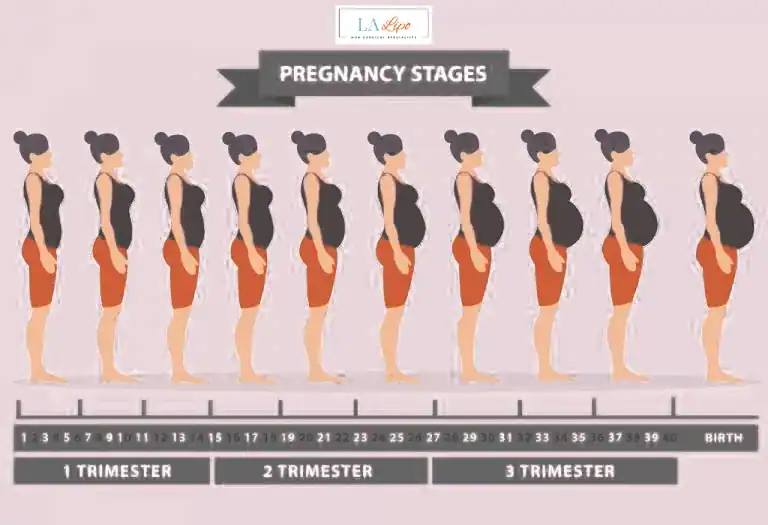 First Trimester (Weeks 1–12): Early Changes You Might Not Notice Milngavie